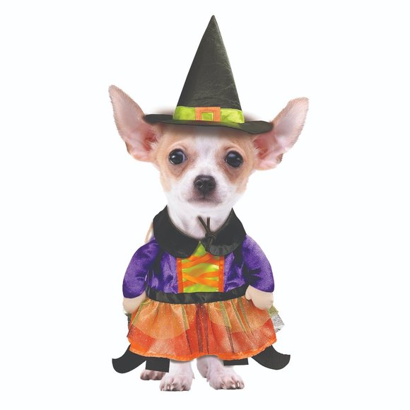 Way to Celebrate Dog Way To Celebrate Halloween Witch Costume For